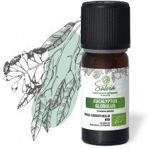 Eucalyptus globulus organic essential oil