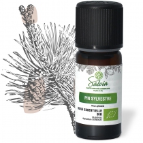 Organic Scots Pine Essential Oil