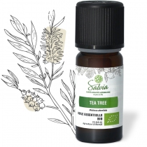 Tea tree organic essential oil
